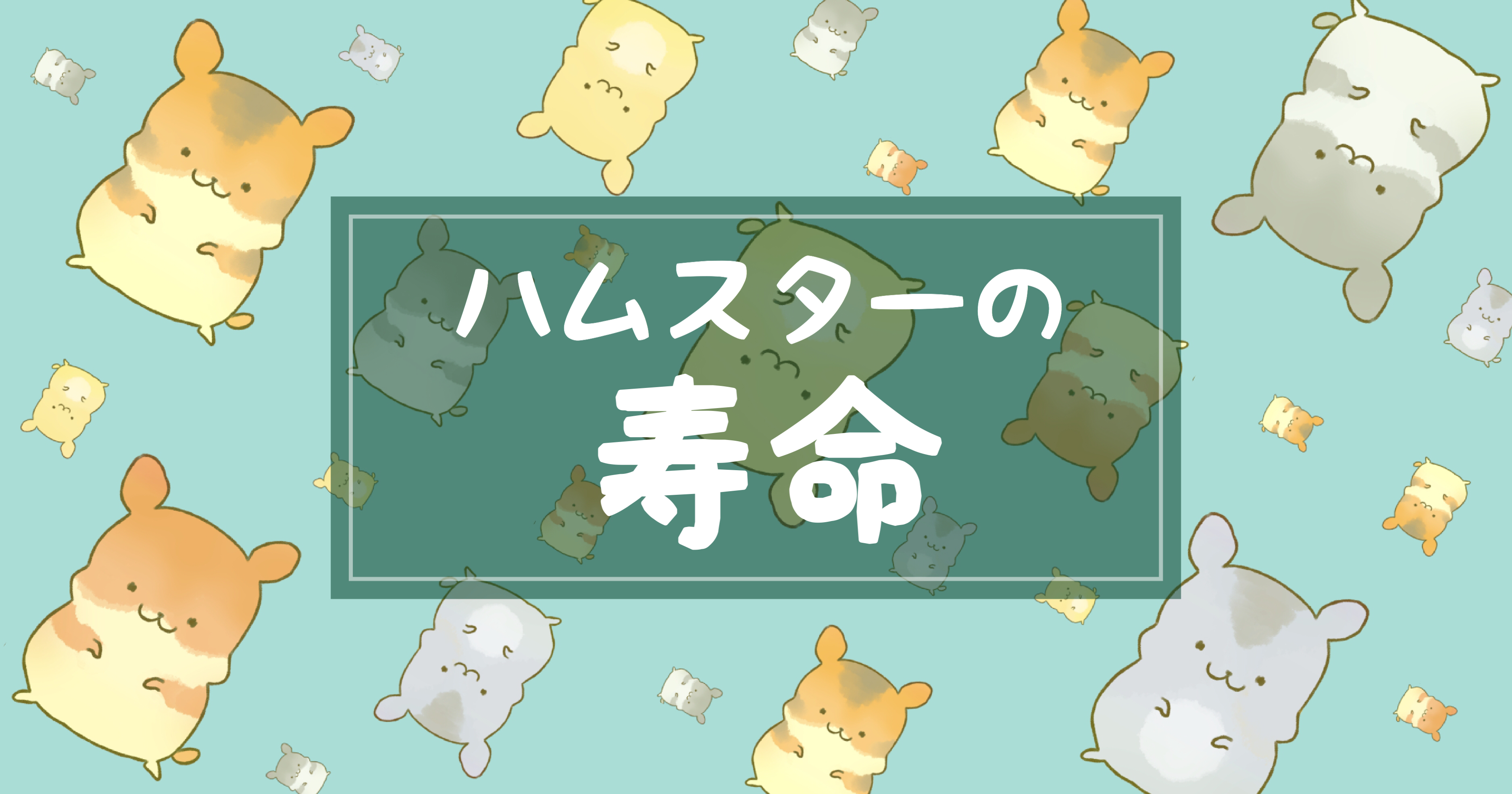 ハムスターの平均寿命とギネス最高齢記録 長生きの秘訣とは けものはっく