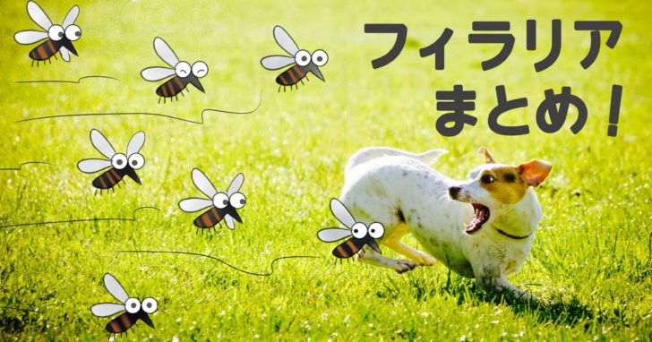 蚊に追いかけられる犬